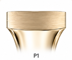 Profil P1